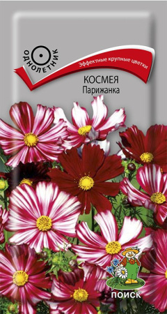 Космея Парижанка (ЦП) 0,1 фото в интернет-магазине "Сортовые семена"