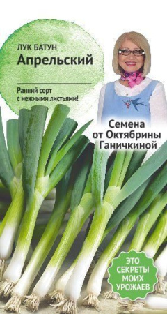 Лук батун Апрельский 0,5 г фото в интернет-магазине "Сортовые семена"