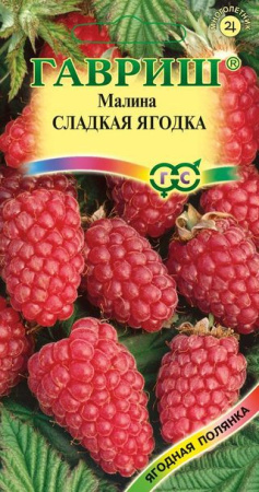 Малина Сладкая ягодка 10 шт. фото в интернет-магазине "Сортовые семена"