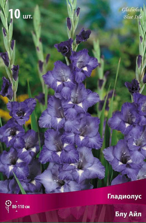 Гладиолус Блу Айл (крупноцветковый) фото в интернет-магазине "Сортовые семена"