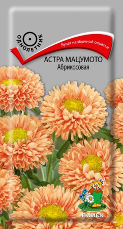 Астра мацумото Абрикосовая (ЦВ) ("1) 0,1гр. фото в интернет-магазине "Сортовые семена"