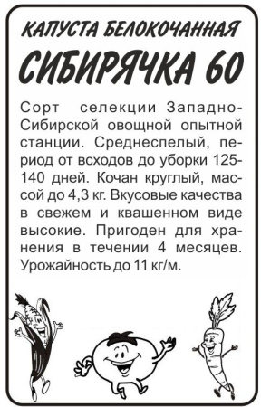 Капуста белокочанная Сибирячка 60 (б/п) фото в интернет-магазине "Сортовые семена"