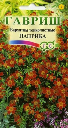 Бархатцы тонколист. Паприка (Тагетес) 0,05 г фото в интернет-магазине "Сортовые семена"