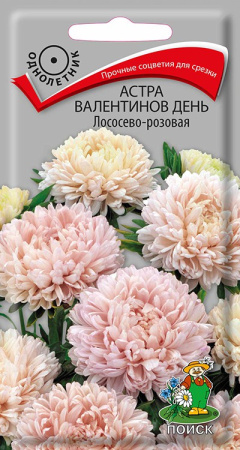 Астра Валентинов день Лососево-розовая (ЦП) 0,2 фото в интернет-магазине "Сортовые семена"