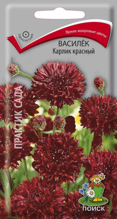 Василек Карлик красный (ЦП) 0,1 фото в интернет-магазине "Сортовые семена"
