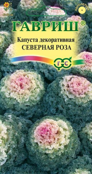 Капуста декоративная Северная роза* 0,1 г. воронежская розовая фото в интернет-магазине "Сортовые семена"