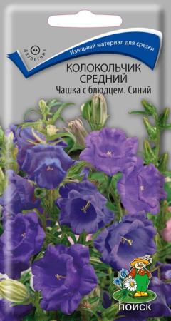 Колокольчик средний Чашка с блюдцем Синий (ЦП) 0,1 фото в интернет-магазине "Сортовые семена"