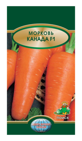 Морковь Канада F1 (ЦВ*) 0,5гр. фото в интернет-магазине "Сортовые семена"