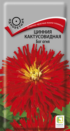Цинния кактусовидная Бог огня (ЦП) 0,4 фото в интернет-магазине "Сортовые семена"