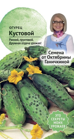 Огурец Кустовой 0,3 г фото в интернет-магазине "Сортовые семена"