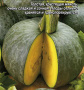 Тыква крупноплодная Лазурная гриппер фас.3г S фото в интернет-магазине "Сортовые семена"
