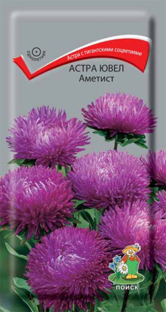 Астра ювел Аметист (ЦВ) ("1) 0,2гр. фото в интернет-магазине "Сортовые семена"