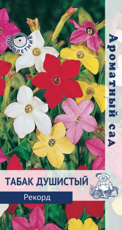 Табак Душистый Рекорд (ЦВ) (Ароматный сад "1) 0,25гр фото в интернет-магазине "Сортовые семена"