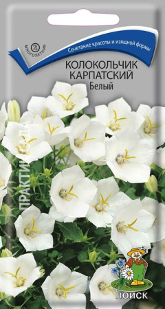 Колокольчик карпатский Белый (ЦВ) ("М) 0,1гр. фото в интернет-магазине "Сортовые семена"