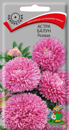 Астра Балун Розовая (ЦВ) ("1) 0,1гр фото в интернет-магазине "Сортовые семена"