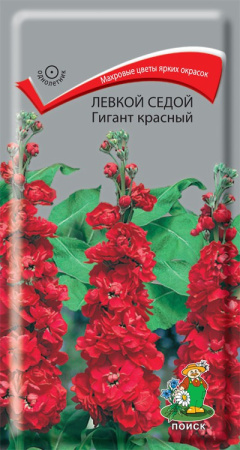 Левкой седой  Гигант красный (ЦВ) ("1) 0,1гр. фото в интернет-магазине "Сортовые семена"
