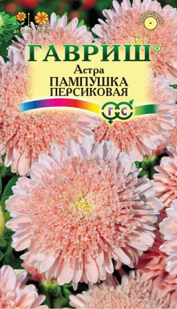 Астра Пампушка персиковая 0,3 г, помпонная фото в интернет-магазине "Сортовые семена"