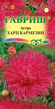 Астра Харц Кармезин 0,3 г, тонкоигольчая темно-красная фото в интернет-магазине "Сортовые семена"