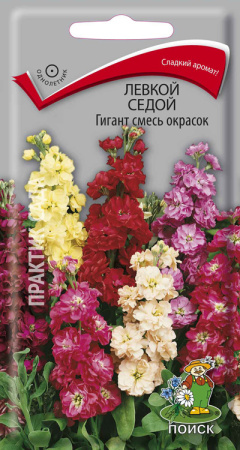Левкой седой Гигант смесь окрасок (ЦП) 0,1 фото в интернет-магазине "Сортовые семена"