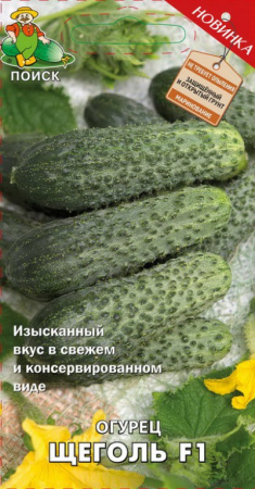 Огурец Щеголь F1 (А) (ЦВ) 12шт. фото в интернет-магазине "Сортовые семена"