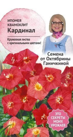 Ипомея Кардинал 0,5 г фото в интернет-магазине "Сортовые семена"