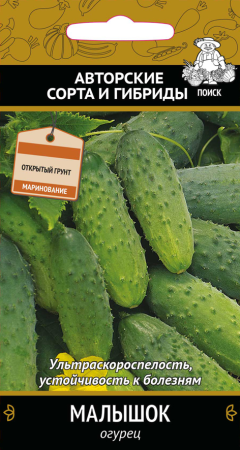 Огурец Малышок фото в интернет-магазине "Сортовые семена"