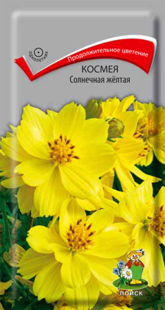 Космея Солнечная жёлтая фото в интернет-магазине "Сортовые семена"