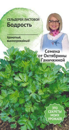 Сельдерей листовой Бодрость 0,3 г фото в интернет-магазине "Сортовые семена"