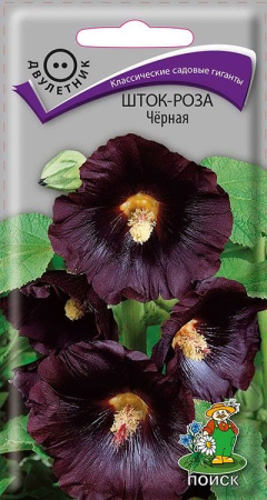 Шток-роза Черная (ЦП) 0,1 фото в интернет-магазине "Сортовые семена"