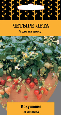Земляника Искушение фото в интернет-магазине "Сортовые семена"