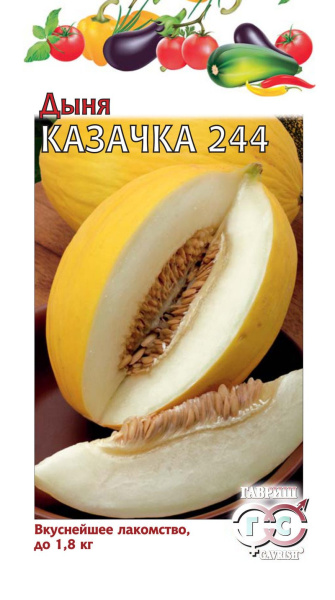 Дыня Казачка 244 1 г фото в интернет-магазине "Сортовые семена"