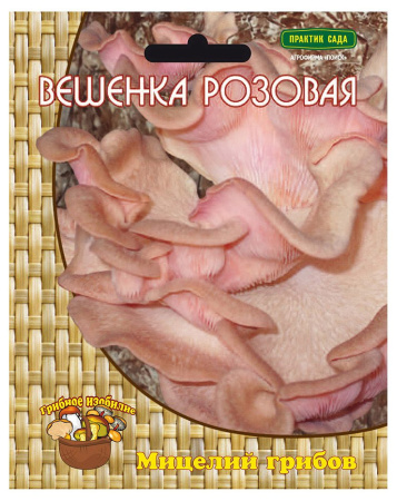 Вешенка розовая (12шт) фото в интернет-магазине "Сортовые семена"