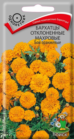 Бархатцы отклоненные махровые Бой оранжевые (ЦП) 0,4 фото в интернет-магазине "Сортовые семена"