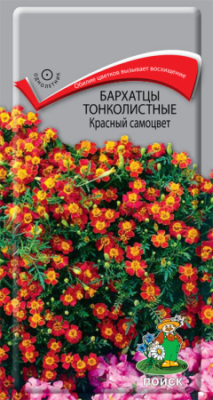 Бархатцы тонколистные Красный самоцвет (ЦП) 0,1 фото в интернет-магазине "Сортовые семена"