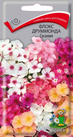 Флокс друммонда Сесилия фото в интернет-магазине "Сортовые семена"