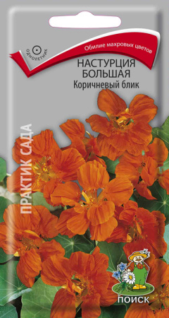 Настурция большая Коричневый блик (ЦП) 1 фото в интернет-магазине "Сортовые семена"