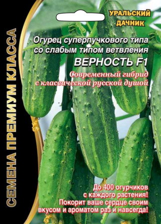 Огурец Верность F1 ® (УД) Е/П Б/Ф 5+2 шт. фото в интернет-магазине "Сортовые семена"