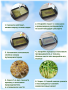 Набор для выращивания микрозелени "Фиолетовый редис" 5,5 г АСТ фото в интернет-магазине "Сортовые семена"