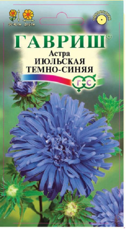Астра Июльская темно-синяя, однолетняя, 0,3 г фото в интернет-магазине "Сортовые семена"