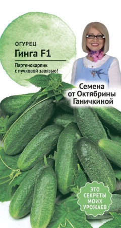 Огурец Гинга F1 10 шт фото в интернет-магазине "Сортовые семена"