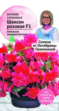Бегония клубневая Шансон Розовая F1 6 шт фото в интернет-магазине "Сортовые семена"