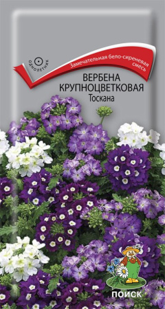 Вербена крупноцветковая Тоскана (ЦП) 10 фото в интернет-магазине "Сортовые семена"