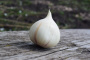 Лук Анзур (вид Афлатунский) фото в интернет-магазине "Сортовые семена"
