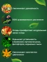 Удобрение органическое для Томатов и Огурцов Детская Грядка 500 мл 124929 фото в интернет-магазине "Сортовые семена"
