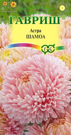 Астра Шамоа 0,3 г, пионовидная кремовая фото в интернет-магазине "Сортовые семена"