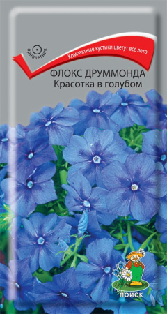 Флокс друммонда Красотка в голубом (ЦП) 0,1 фото в интернет-магазине "Сортовые семена"