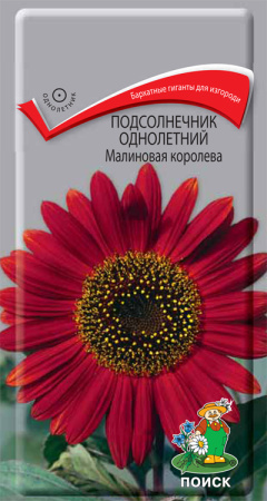 Подсолнечник однолетний Малиновая королева (ЦП) 0,5 фото в интернет-магазине "Сортовые семена"