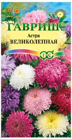 Астра Великолепная, однолетняя (смесь) 0,3 г фото в интернет-магазине "Сортовые семена"
