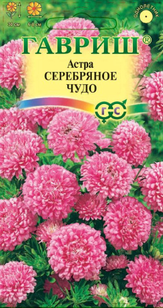 Астра Серебряное чудо  0,3 г, карликовая розовая фото в интернет-магазине "Сортовые семена"