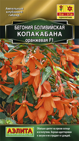 Бегония боливийская Копакабана F1 оранжевая ---   Одн (драже в пробирке) Золотая серия фото в интернет-магазине "Сортовые семена"